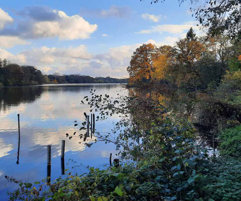 Herbstlicher See mit Spiegelung im Nettetal